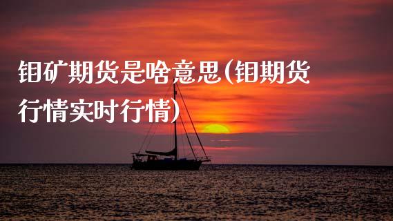 钼矿期货是啥意思(钼期货行情实时行情)_https://www.zztgc.com_期货直播_第1张