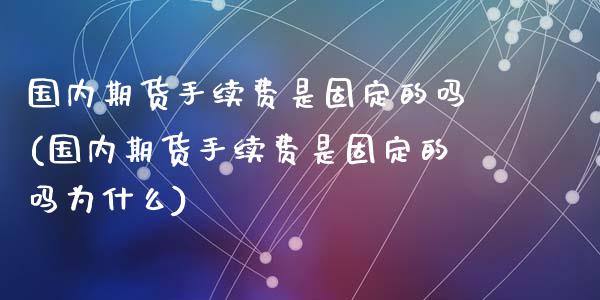 国内期货手续费是固定的吗(国内期货手续费是固定的吗为什么)_https://www.zztgc.com_期货入门_第1张