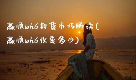 赢顺wh6期货市场解读(赢顺wh6收费多少)_https://www.zztgc.com_黄金期货_第1张