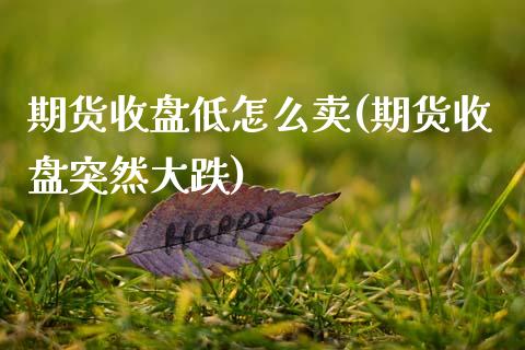 期货收盘低怎么卖(期货收盘突然大跌)_https://www.zztgc.com_期货入门_第1张