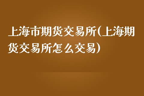 上海市期货交易所(上海期货交易所怎么交易)_https://www.zztgc.com_黄金期货_第1张