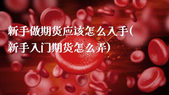 新手做期货应该怎么入手(新手入门期货怎么弄)_https://www.zztgc.com_黄金期货_第1张