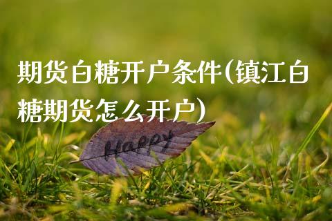 期货白糖开户条件(镇江白糖期货怎么开户)_https://www.zztgc.com_期货直播_第1张