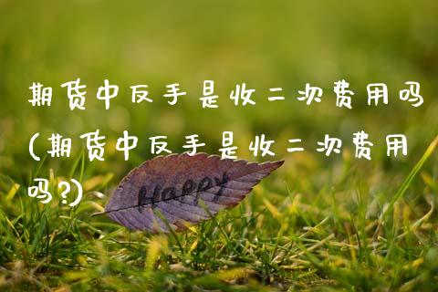 期货中反手是收二次费用吗(期货中反手是收二次费用吗?)_https://www.zztgc.com_原油期货_第1张