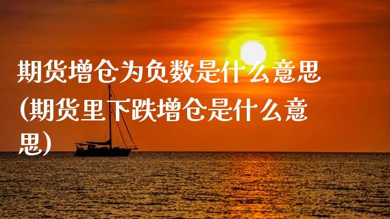 期货增仓为负数是什么意思(期货里下跌增仓是什么意思)_https://www.zztgc.com_期货开户_第1张