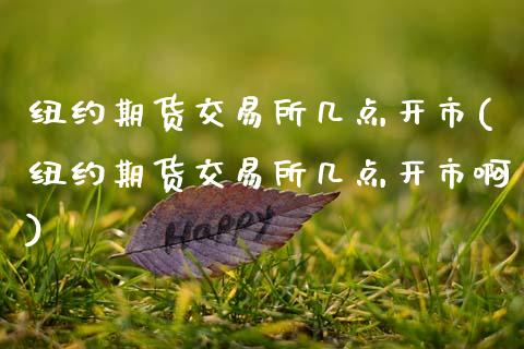 纽约期货交易所几点开市(纽约期货交易所几点开市啊)_https://www.zztgc.com_期货入门_第1张