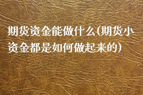 期货资金能做什么(期货小资金都是如何做起来的)_https://www.zztgc.com_黄金期货_第1张