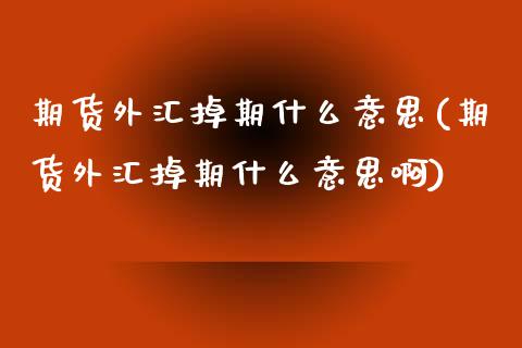 期货外汇掉期什么意思(期货外汇掉期什么意思啊)_https://www.zztgc.com_期货行情_第1张