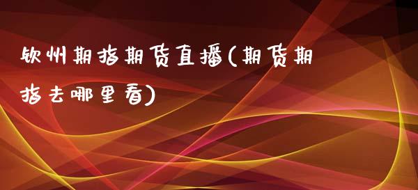 钦州期指期货直播(期货期指去哪里看)_https://www.zztgc.com_期货直播_第1张
