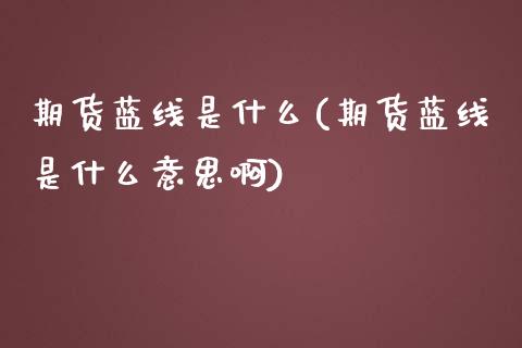 期货蓝线是什么(期货蓝线是什么意思啊)_https://www.zztgc.com_原油期货_第1张