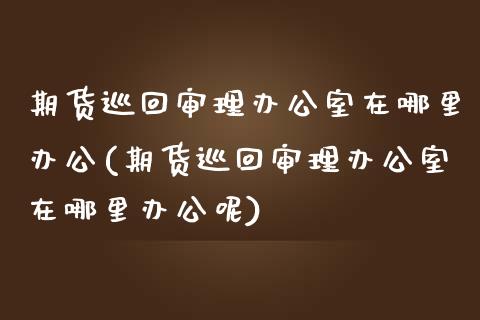 期货巡回审理办公室在哪里办公(期货巡回审理办公室在哪里办公呢)_https://www.zztgc.com_期货入门_第1张