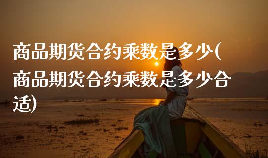 商品期货合约乘数是多少(商品期货合约乘数是多少合适)_https://www.zztgc.com_期货直播_第1张