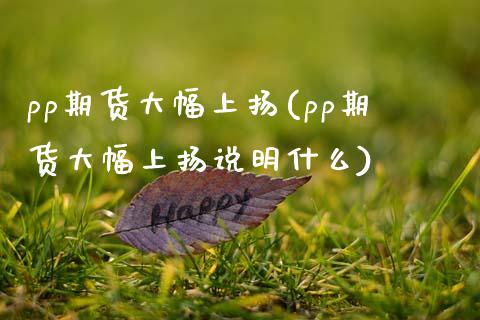 pp期货大幅上扬(pp期货大幅上扬说明什么)_https://www.zztgc.com_黄金期货_第1张