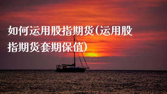 如何运用股指期货(运用股指期货套期保值)_https://www.zztgc.com_原油期货_第1张