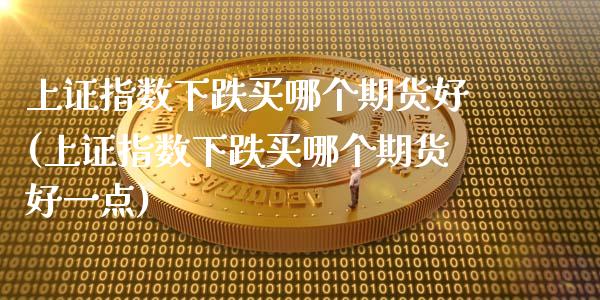 上证指数下跌买哪个期货好(上证指数下跌买哪个期货好一点)_https://www.zztgc.com_原油期货_第1张