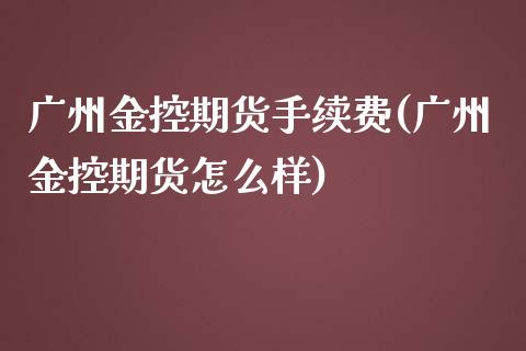 广州金控期货手续费(广州金控期货怎么样)_https://www.zztgc.com_黄金期货_第1张