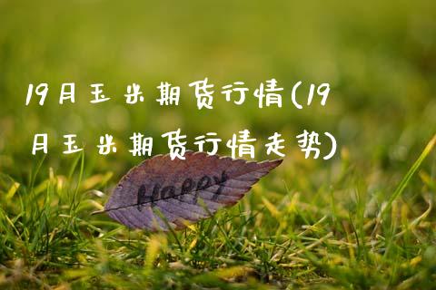 19月玉米期货行情(19月玉米期货行情走势)_https://www.zztgc.com_期货入门_第1张