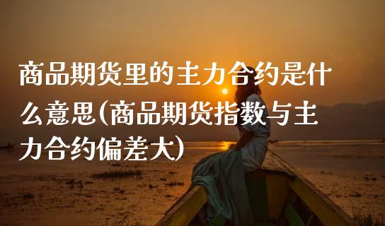 商品期货里的主力合约是什么意思(商品期货指数与主力合约偏差大)_https://www.zztgc.com_期货直播_第1张