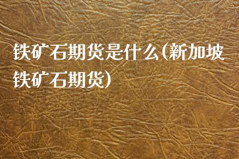 铁矿石期货是什么(新加坡铁矿石期货)_https://www.zztgc.com_期货直播_第1张