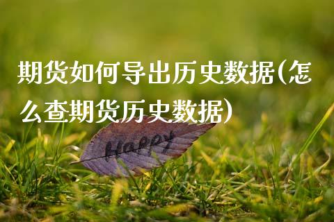 期货如何导出历史数据(怎么查期货历史数据)_https://www.zztgc.com_期货直播_第1张