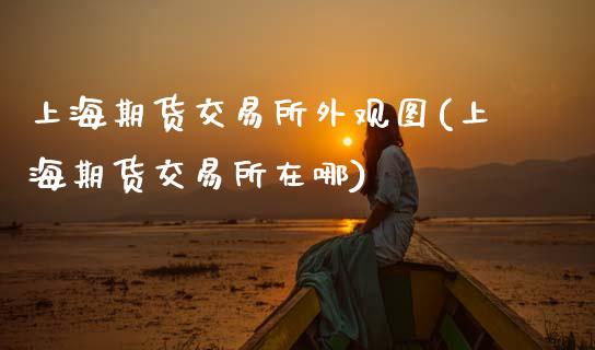 上海期货交易所外观图(上海期货交易所在哪)_https://www.zztgc.com_期货直播_第1张