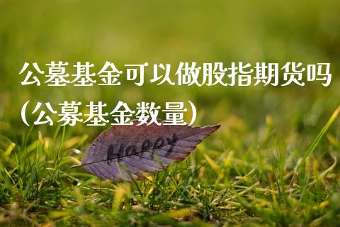 公墓基金可以做股指期货吗(公募基金数量)_https://www.zztgc.com_期货直播_第1张