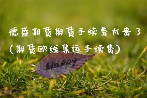 德盛期货期货手续费太贵了(期货欧线集运手续费)_https://www.zztgc.com_期货行情_第1张
