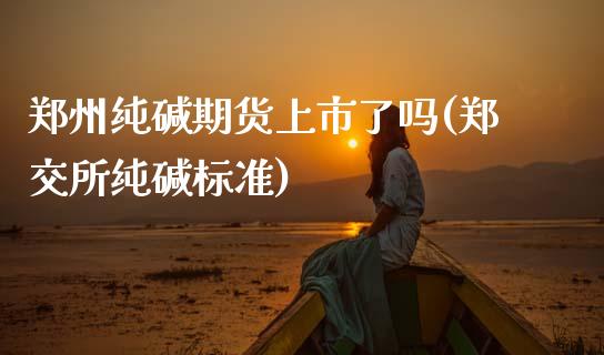 郑州纯碱期货上市了吗(郑交所纯碱标准)_https://www.zztgc.com_黄金期货_第1张