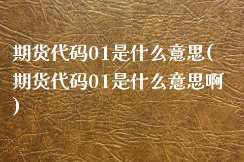 期货代码01是什么意思(期货代码01是什么意思啊)_https://www.zztgc.com_期货直播_第1张
