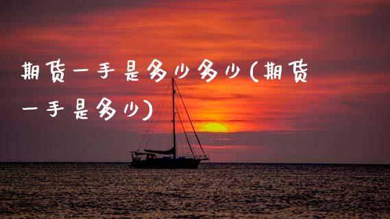 期货一手是多少多少(期货一手是多少)_https://www.zztgc.com_黄金期货_第1张