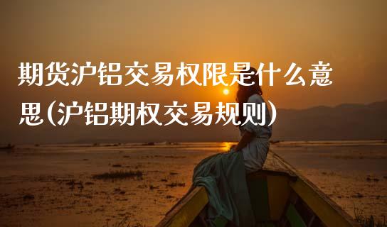 期货沪铝交易权限是什么意思(沪铝期权交易规则)_https://www.zztgc.com_期货直播_第1张