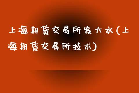 上海期货交易所发大水(上海期货交易所技术)_https://www.zztgc.com_黄金期货_第1张
