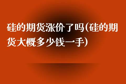 硅的期货涨价了吗(硅的期货大概多少钱一手)_https://www.zztgc.com_期货行情_第1张