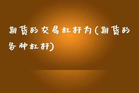 期货的交易杠杆为(期货的各种杠杆)_https://www.zztgc.com_原油期货_第1张