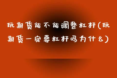 玩期货能不能调整杠杆(玩期货一定要杠杆吗为什么)_https://www.zztgc.com_期货入门_第1张