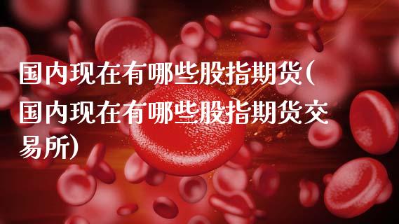 国内现在有哪些股指期货(国内现在有哪些股指期货交易所)_原油期货_第1张_珍投期货网 国内现在有哪些股指期货(国内现在有哪些股指期货交易所)_https://www.zztgc.com_原油期货_第1张