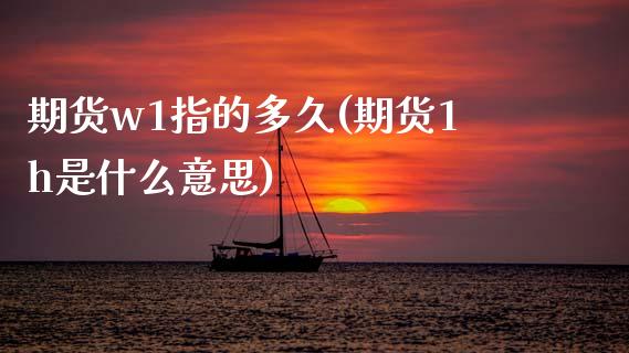 期货w1指的多久(期货1h是什么意思)_https://www.zztgc.com_期货入门_第1张