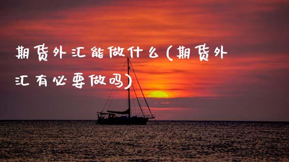期货外汇能做什么(期货外汇有必要做吗)_https://www.zztgc.com_原油期货_第1张