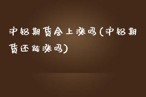 沪铝期货会上涨吗(沪铝期货还能涨吗)_https://www.zztgc.com_黄金期货_第1张