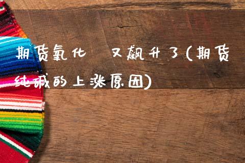 期货氧化鏑又飙升了(期货纯碱的上涨原因)_https://www.zztgc.com_期货直播_第1张