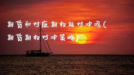 期货和对应期权能对冲吗(期货期权对冲策略)_https://www.zztgc.com_期货直播_第1张