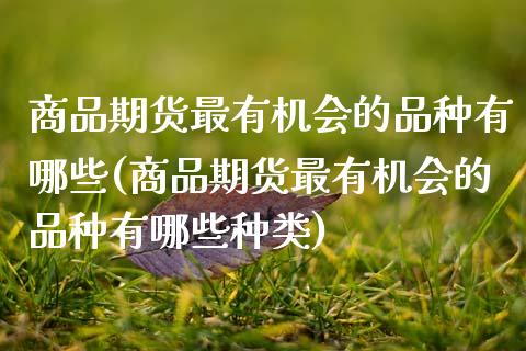商品期货最有机会的品种有哪些(商品期货最有机会的品种有哪些种类)_https://www.zztgc.com_期货行情_第1张