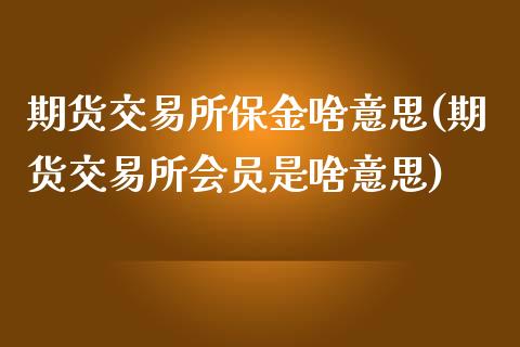 期货交易所保金啥意思(期货交易所会员是啥意思)_https://www.zztgc.com_期货开户_第1张
