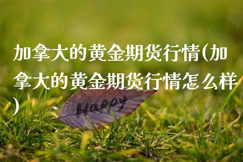 加拿大的黄金期货行情(加拿大的黄金期货行情怎么样)_https://www.zztgc.com_期货入门_第1张