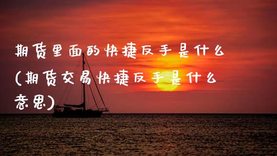 期货里面的快捷反手是什么(期货交易快捷反手是什么意思)_https://www.zztgc.com_期货行情_第1张