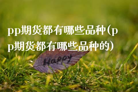 pp期货都有哪些品种(pp期货都有哪些品种的)_https://www.zztgc.com_期货直播_第1张