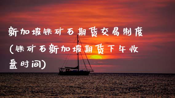 新加坡铁矿石期货交易制度(铁矿石新加坡期货下午收盘时间)_https://www.zztgc.com_期货入门_第1张
