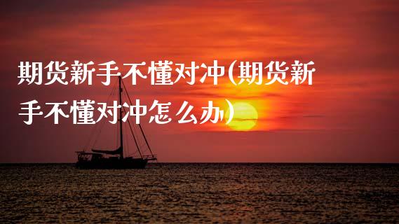 期货新手不懂对冲(期货新手不懂对冲怎么办)_https://www.zztgc.com_原油期货_第1张