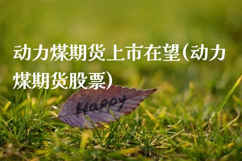 动力煤期货上市在望(动力煤期货股票)_https://www.zztgc.com_黄金期货_第1张
