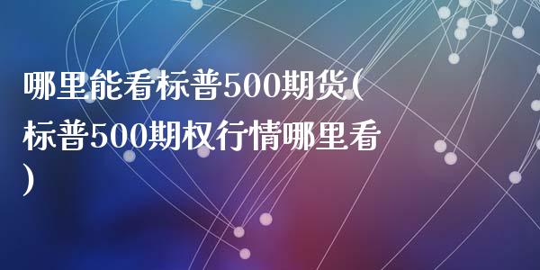 哪里能看标普500期货(标普500期权行情哪里看)_https://www.zztgc.com_期货开户_第1张